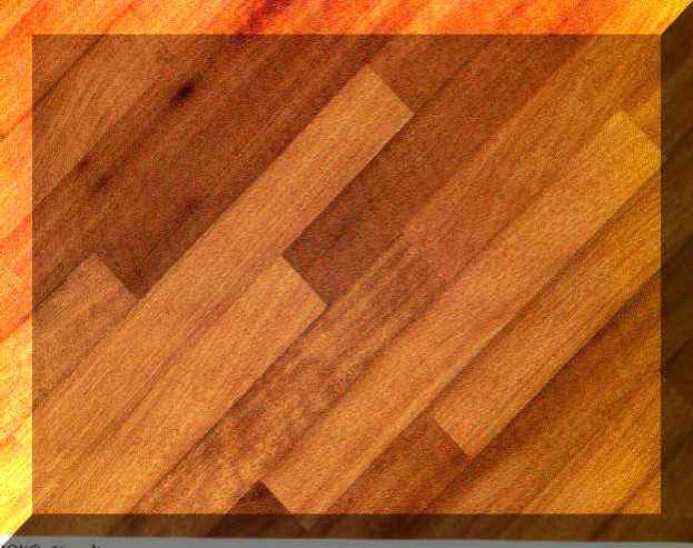 Iroko_d_WEB.jpg (50370 byte)