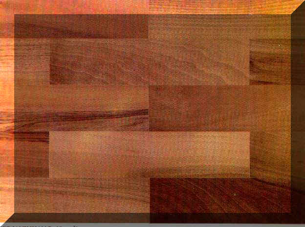 noce_web.jpg (40346 byte)